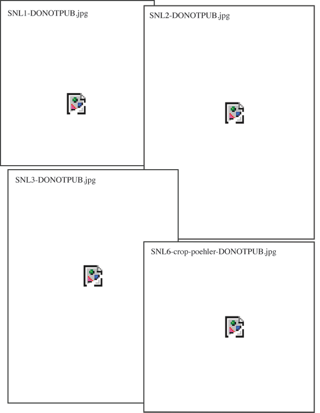 Illustration for article titled Our Bad: These Pictures Of Kristen Wiig Got Corrupted But The File Names Mostly Explain What’s Happening